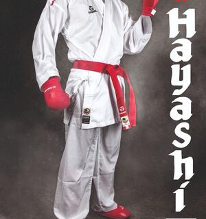 Плакат “Kumite Hollow” – Hayashi