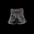 Kickbox-Shorts “STAR”
