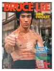 Книга „Bruce Lee – Seine Ewigkeit“ (колекционерско издание 1985) – TOP TEN