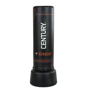 Свободностоящ чувал Torrent T2 Pro – CENTURY